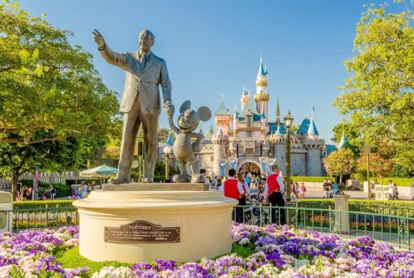 disneyland car service